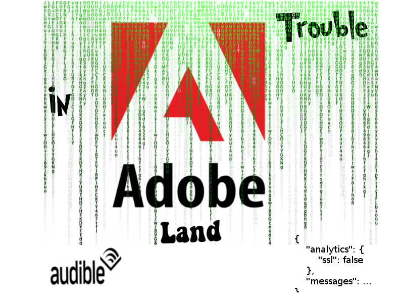 Firo Solutions adobe vulnerabilities